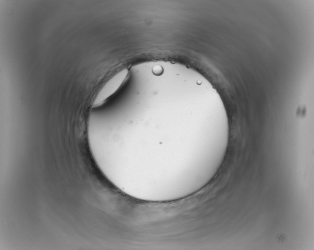 X0000091540025200709141505