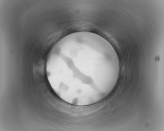 X0000091540026200709141505