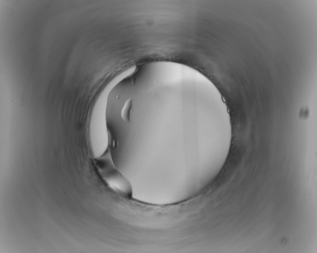 X0000091540027200709141505