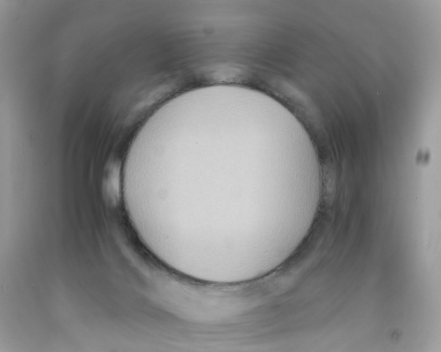 X0000091540028200709141505
