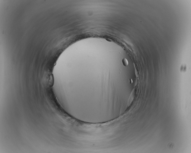 X0000091540029200709141505