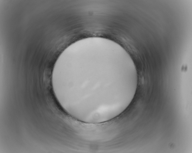 X0000091540030200709141505