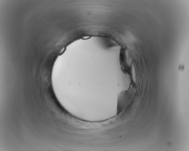 X0000091540031200709141505