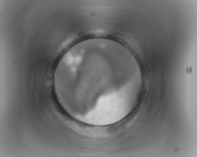 X0000091540032200709141505