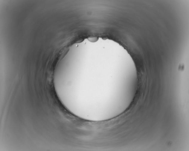 X0000091540033200709141505