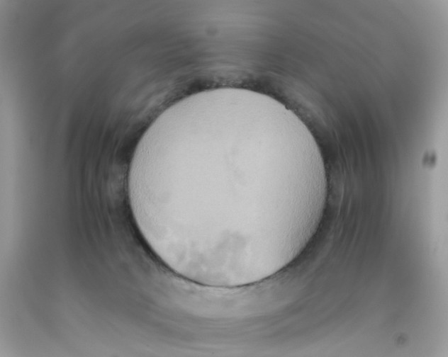 X0000091540034200709141504