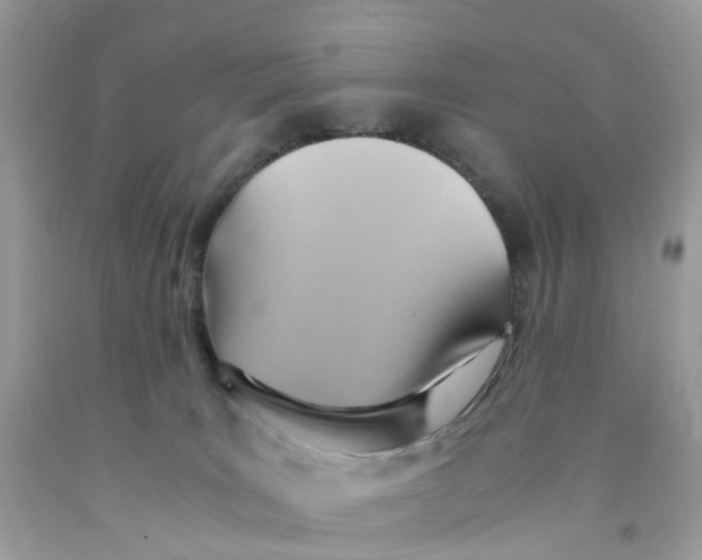 X0000091540035200709141504
