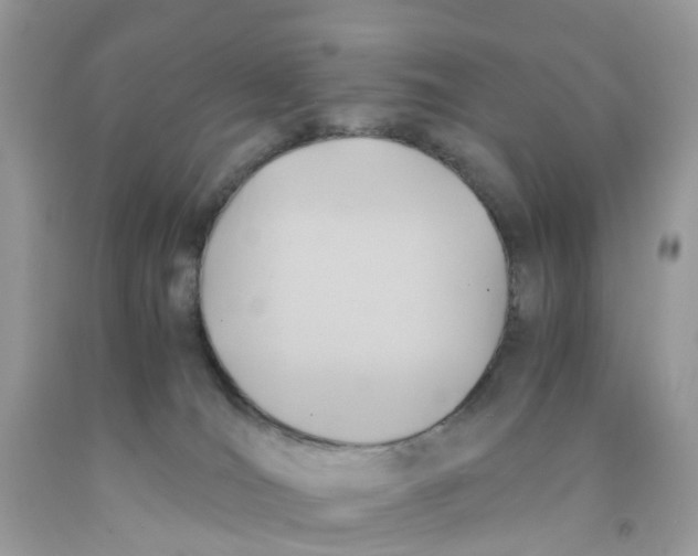 X0000091540036200709141504