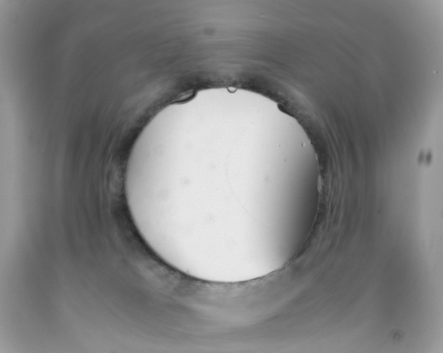 X0000091540037200709141504