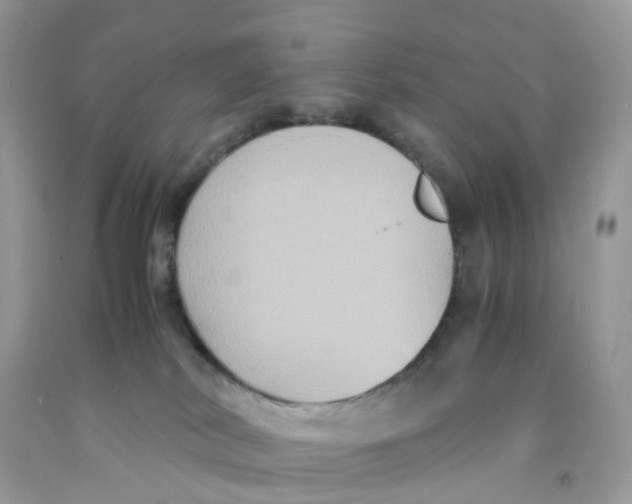 X0000091540038200709141504