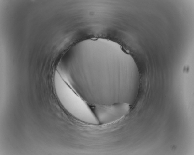 X0000091540039200709141504
