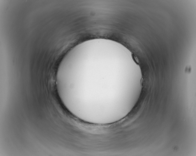 X0000091540040200709141504