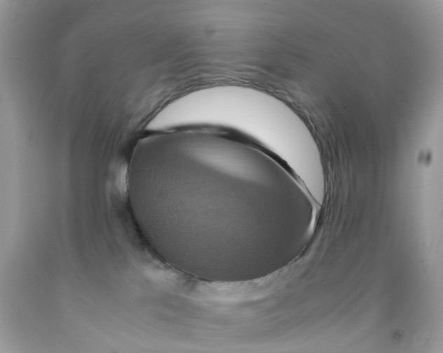 X0000091540041200709141504
