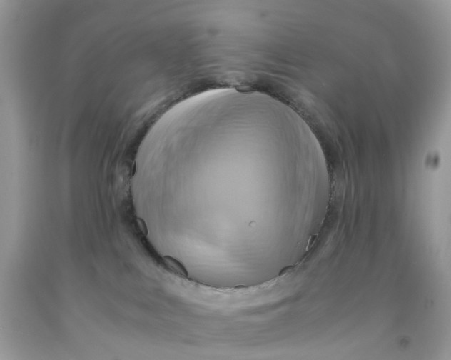 X0000091540043200709141504