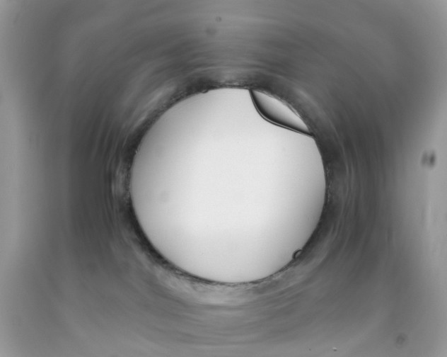 X0000091540044200709141504