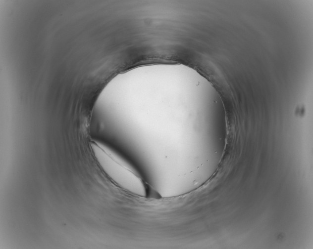 X0000091540045200709141504