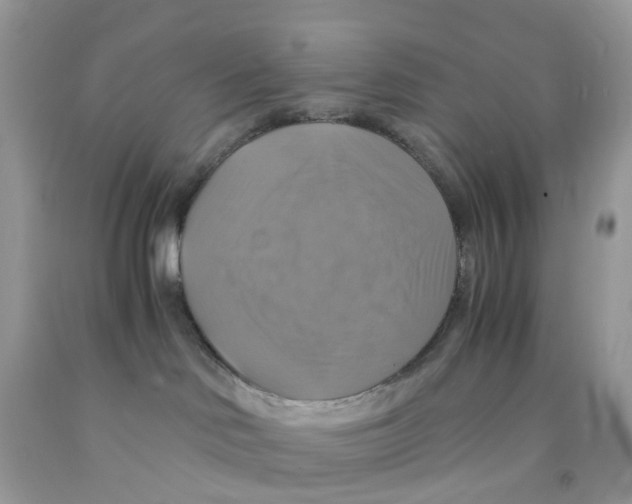 X0000091540046200709141504