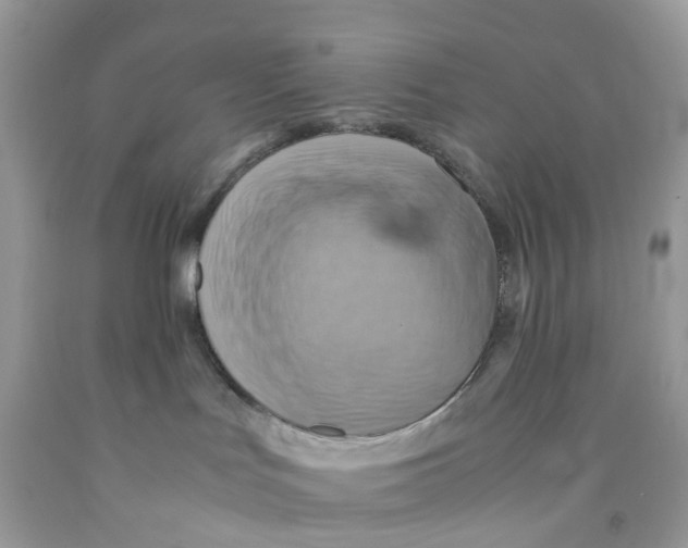 X0000091540047200709141504