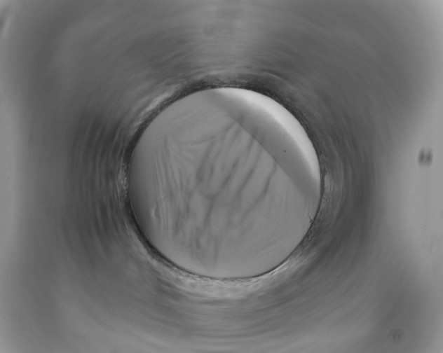 X0000091540048200709141504