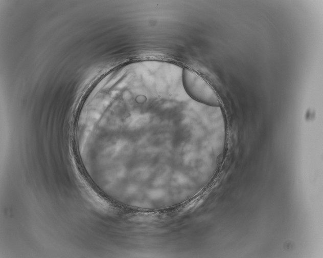 X0000091540049200709141504
