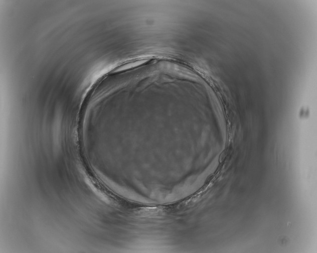 X0000091540050200709141504