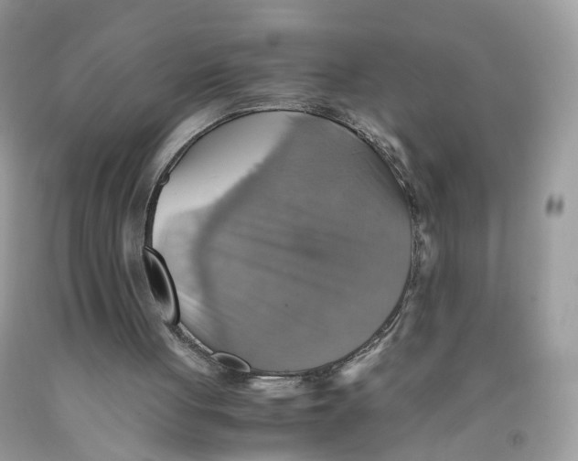 X0000091540051200709141504