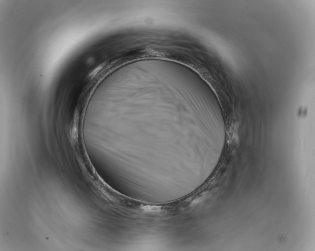 X0000091540052200709141504
