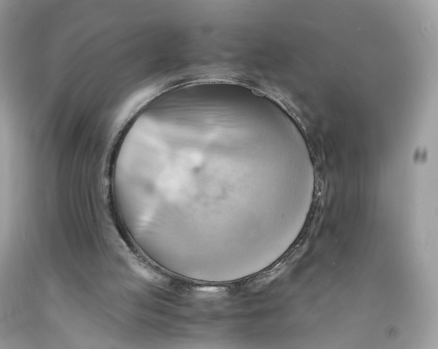 X0000091540053200709141504