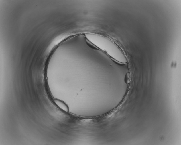 X0000091540054200709141504