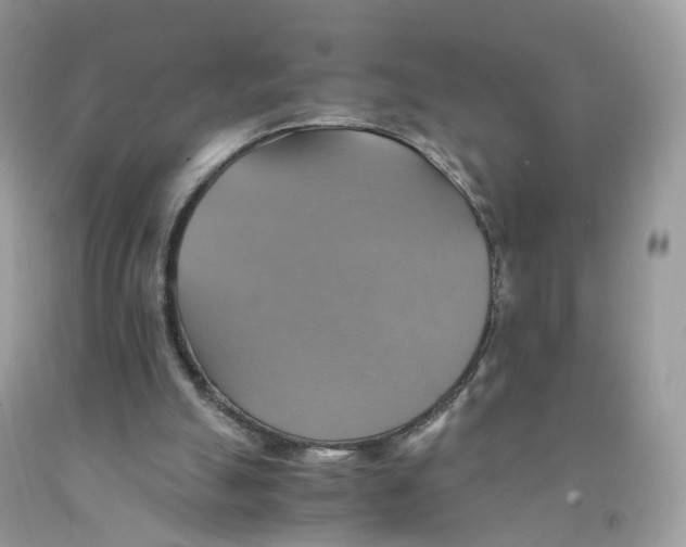 X0000091540055200709141504