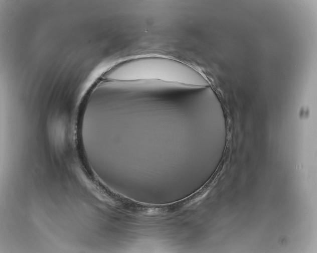 X0000091540056200709141504
