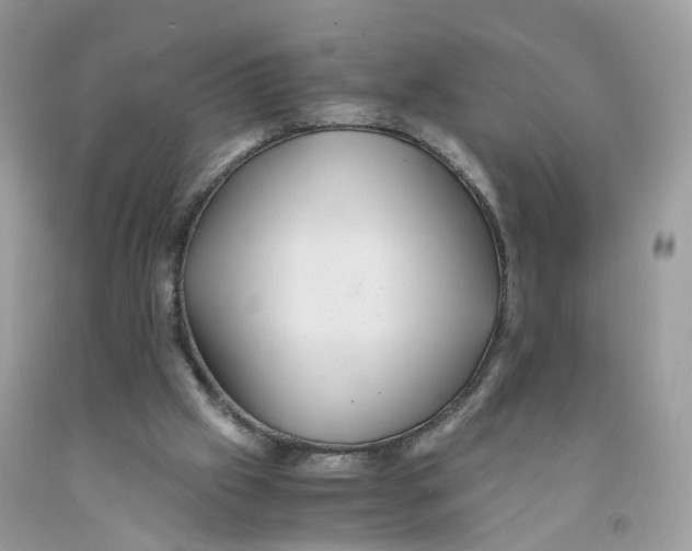 X0000091540057200709141504