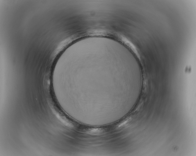 X0000091540059200709141504