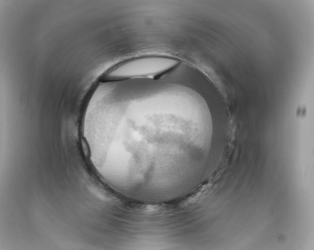 X0000091540060200709141504