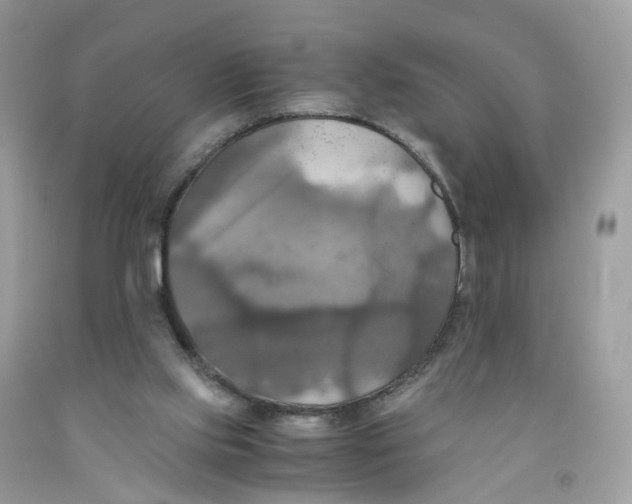 X0000091540061200709141504