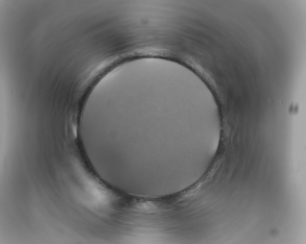 X0000091540062200709141504