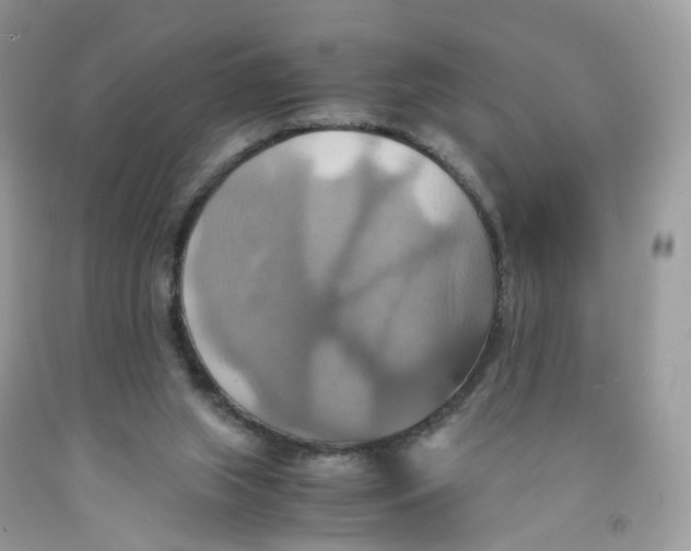 X0000091540063200709141504