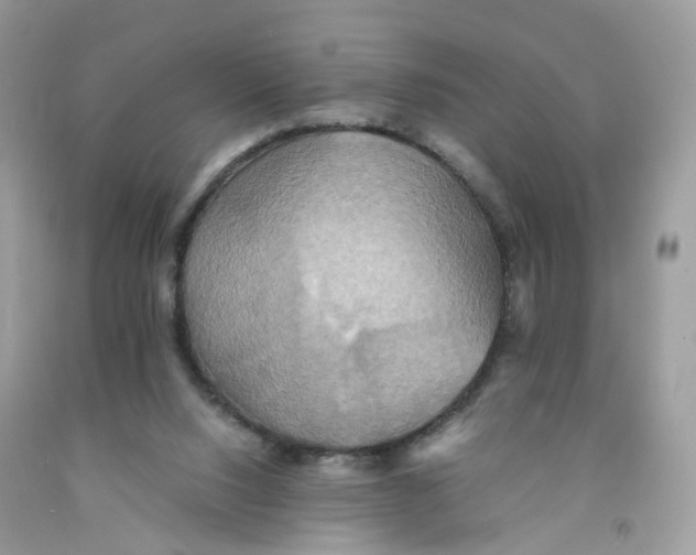 X0000091540064200709141504