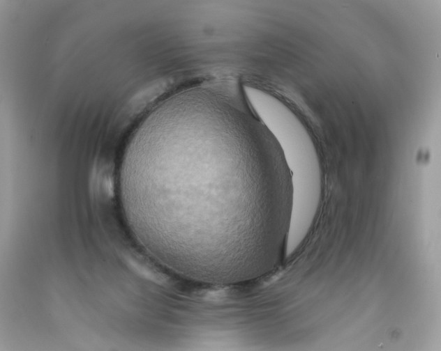 X0000091540068200709141504
