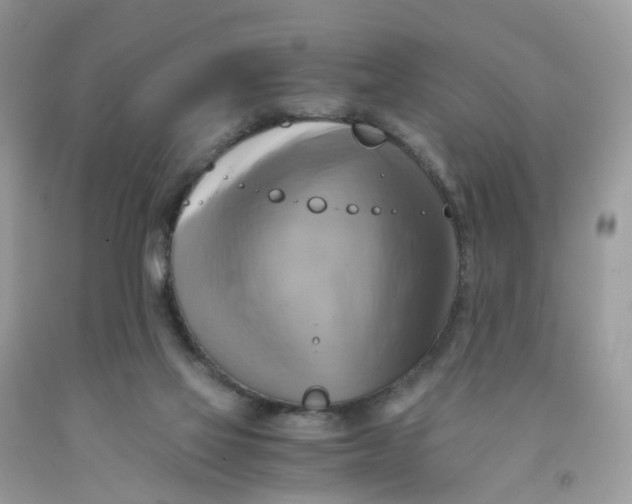 X0000091540069200709141504