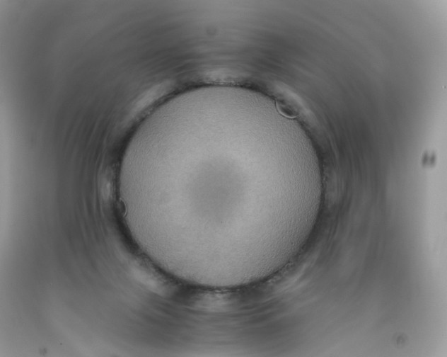 X0000091540071200709141504