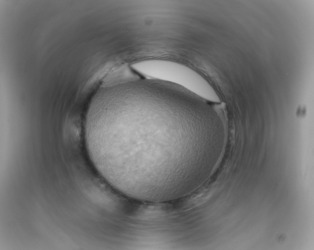 X0000091540072200709141504