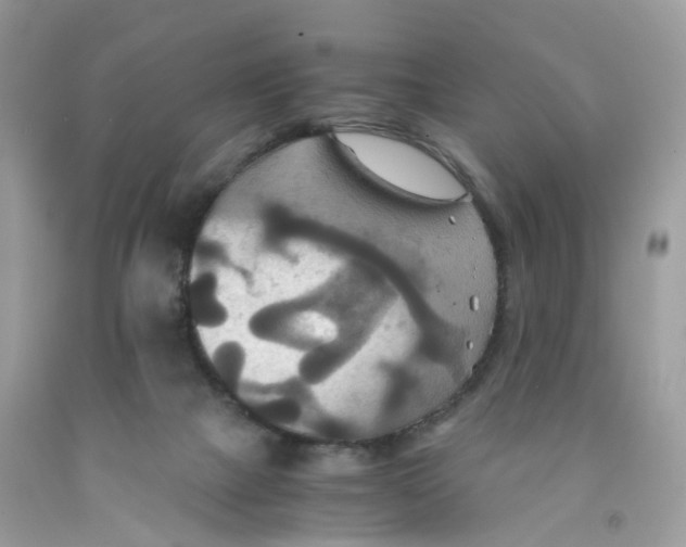 X0000091540073200709141504
