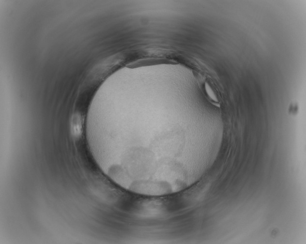 X0000091540075200709141504