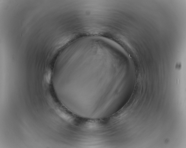 X0000091540076200709141504