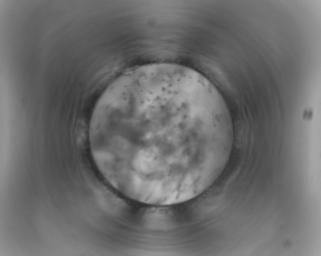 X0000091540077200709141504