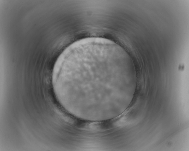 X0000091540078200709141504
