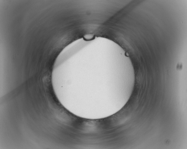 X0000091540079200709141504