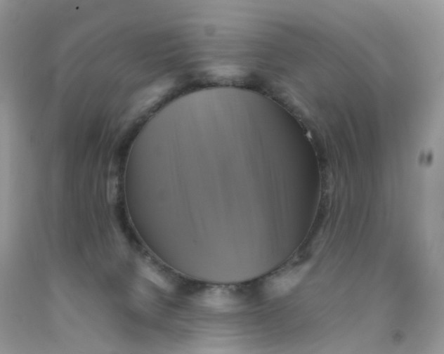 X0000091540080200709141504