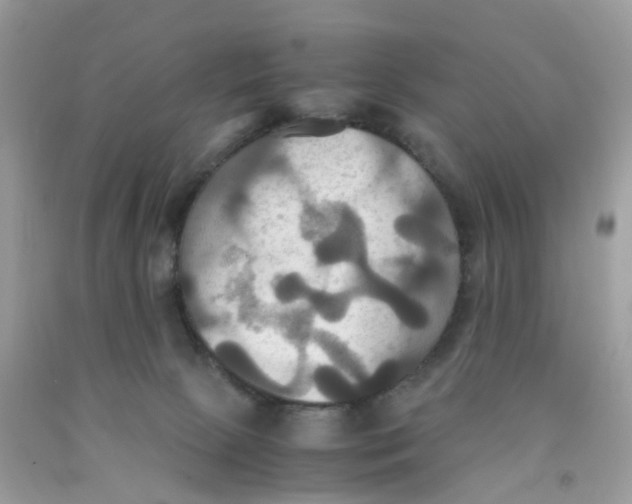 X0000091540081200709141504